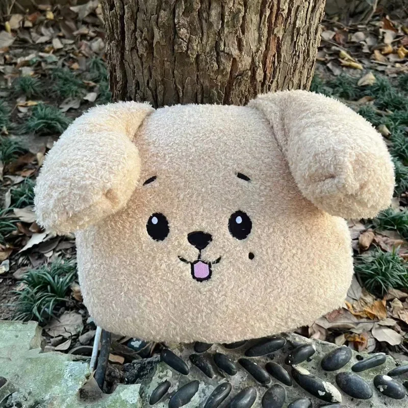 30cm Kpop peluche ídolo de Kpop JEONGHAN WONWOO Miniteen peluches cojín para la cara almohada de peluche suave muñecas decoración de la habitación regalos para seguidores