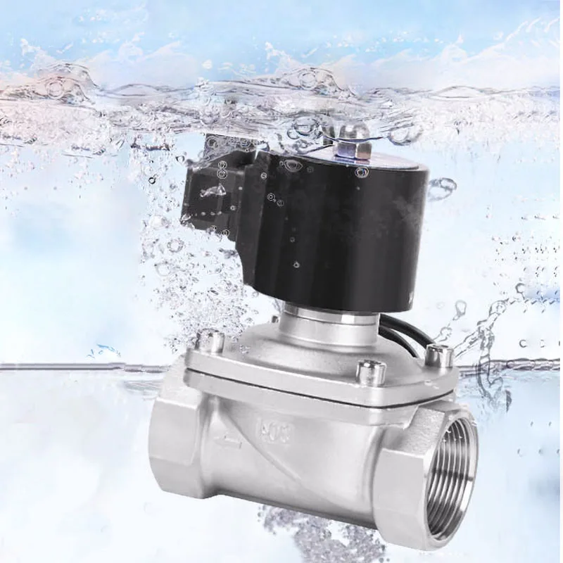 3/8" 1/2'' 1'' 2'' Stainless Steel Fountain Solenoid Valve 220V 12V Normally Closed Waterproof Solenoid Valves For Underwater