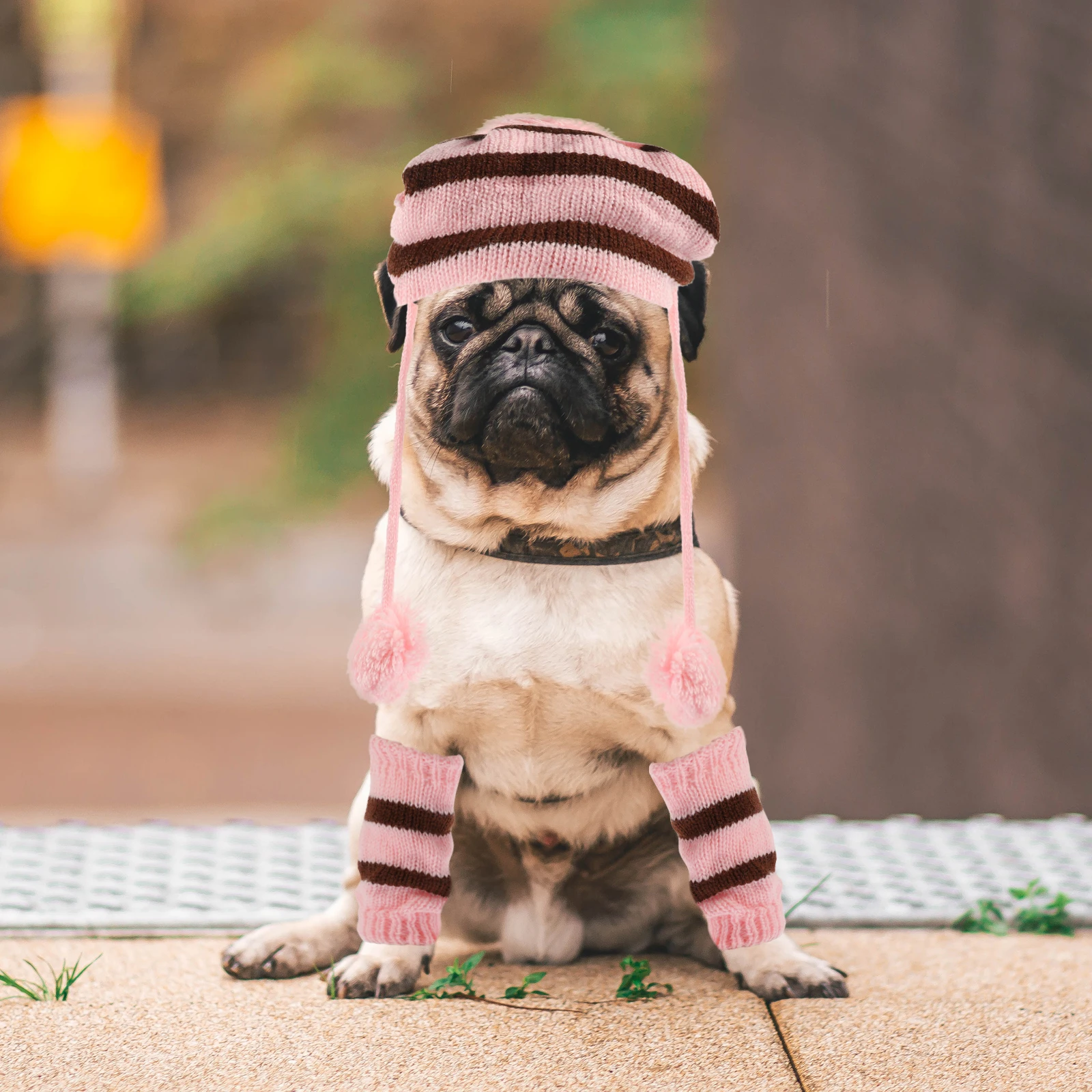 

1Set Dog Scarf Hat Set Warm Knitted Winter Costume Pink Brown Size M for Holiday Photo Shoots Festival Travel Accessories