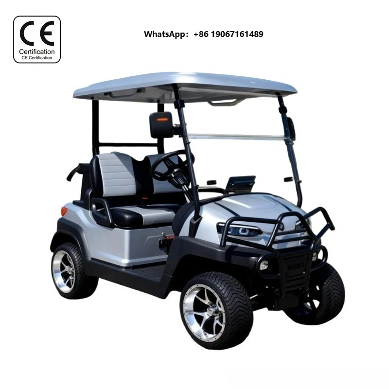 Club Best Selling 2 Seater Electric Golf Cart with 35 Km/h Speed 90km Range 60V Battery Off-Road Tires LXM