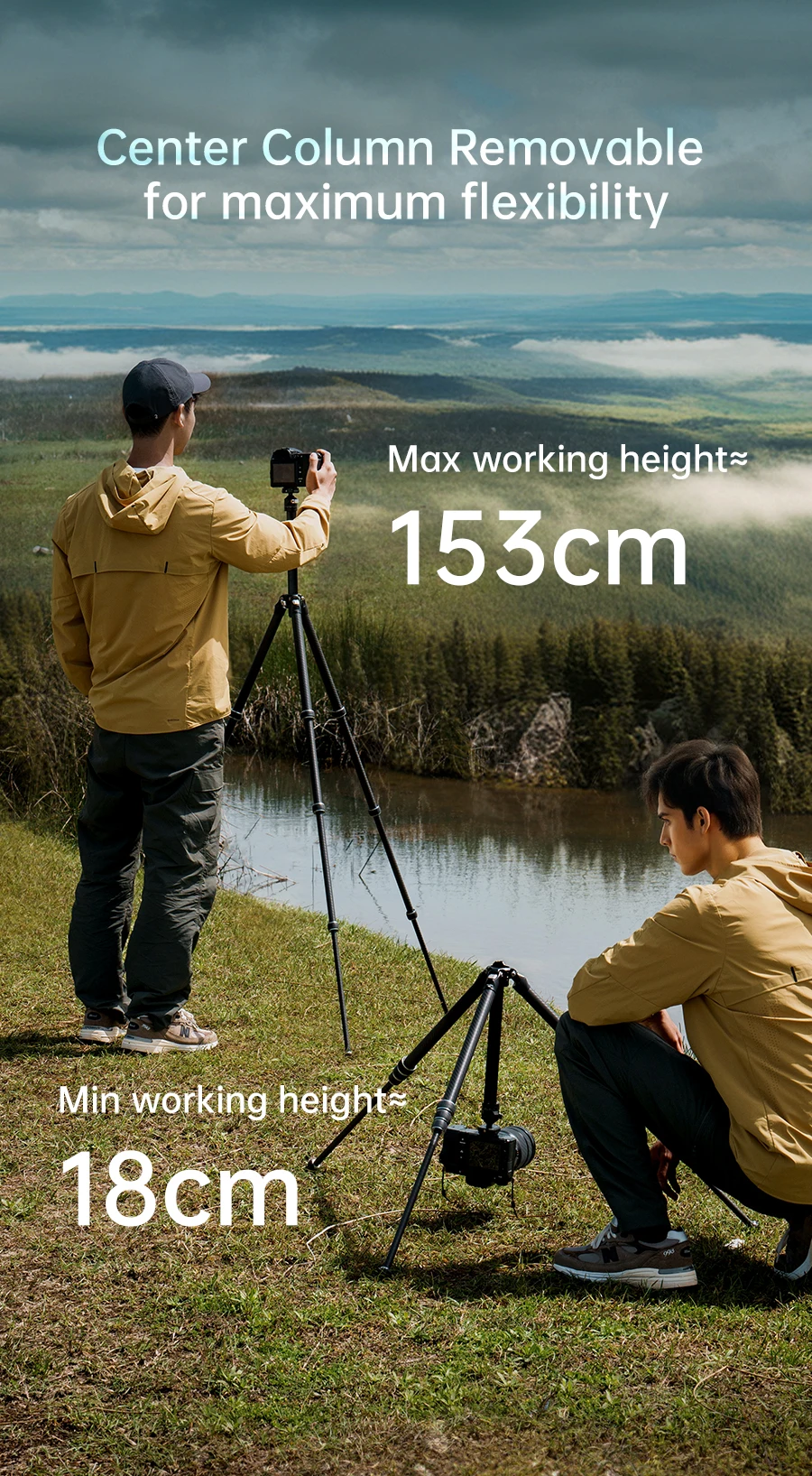Ulanzi FALCAM TreeRoot Quick Lock Lite Stativ mit F38 Quick Release Upright 360 ° Kugelkopf für DSLR-Kamera, Reisen, Livestreaming – Detail 10