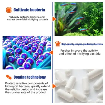 10 best sales Batteri dell'acquario - №1