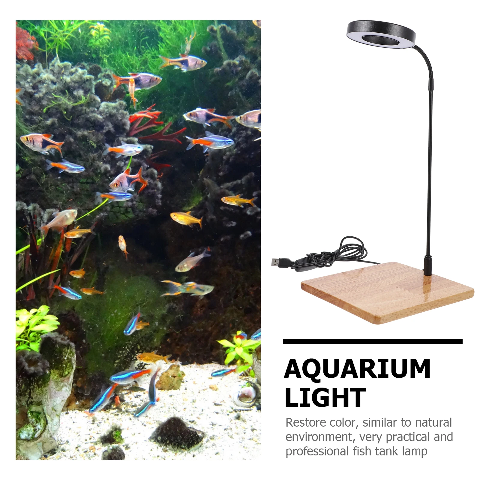 

Fill Light Fish Tank LED Aquarium Accessory for Aquatic Plants Board Lamp Micro Water Grass Wood