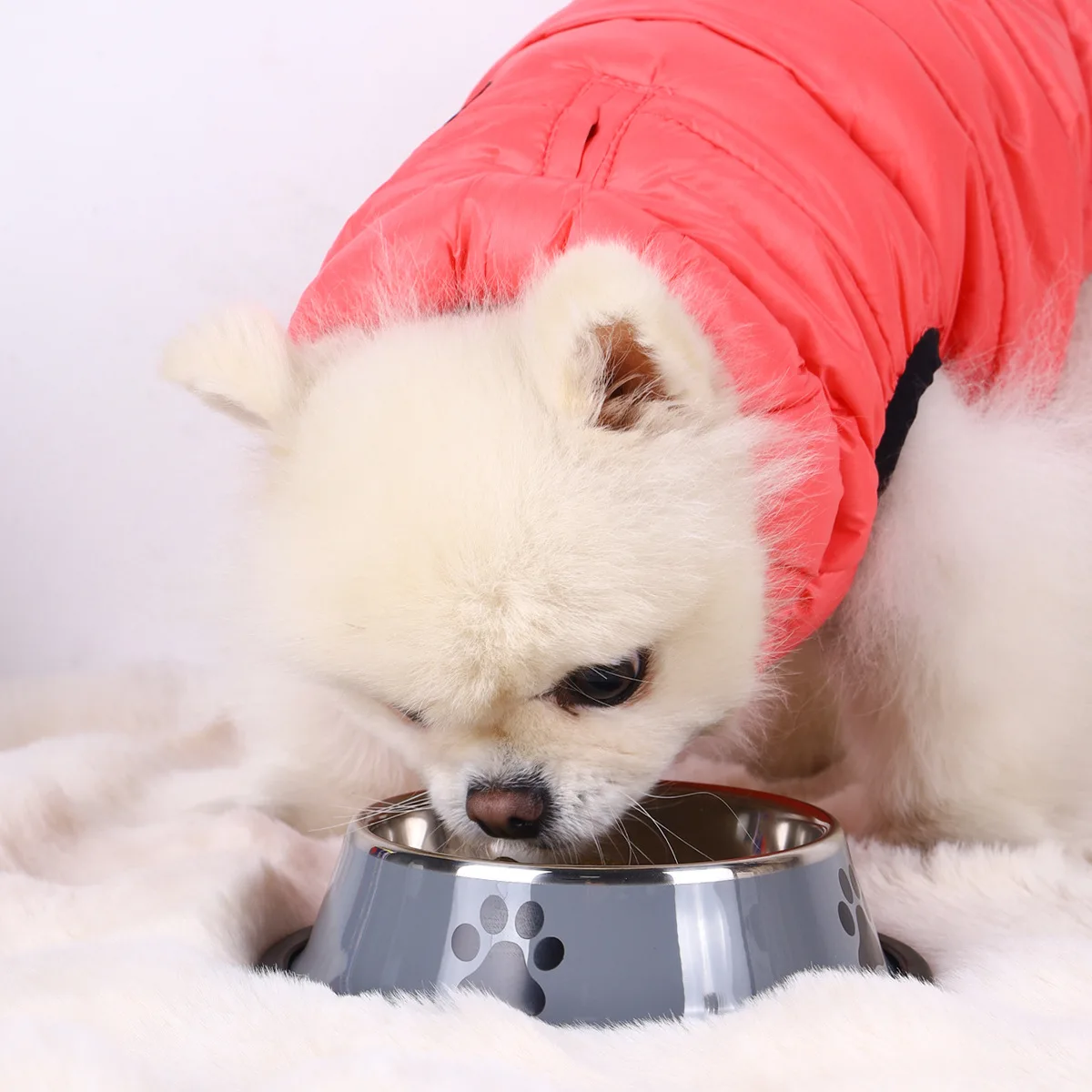 Stainless steel large capacity pet bowl dog food bowl multiple specifications anti-fall food bowl food bowl feeding pet supplies - view 6