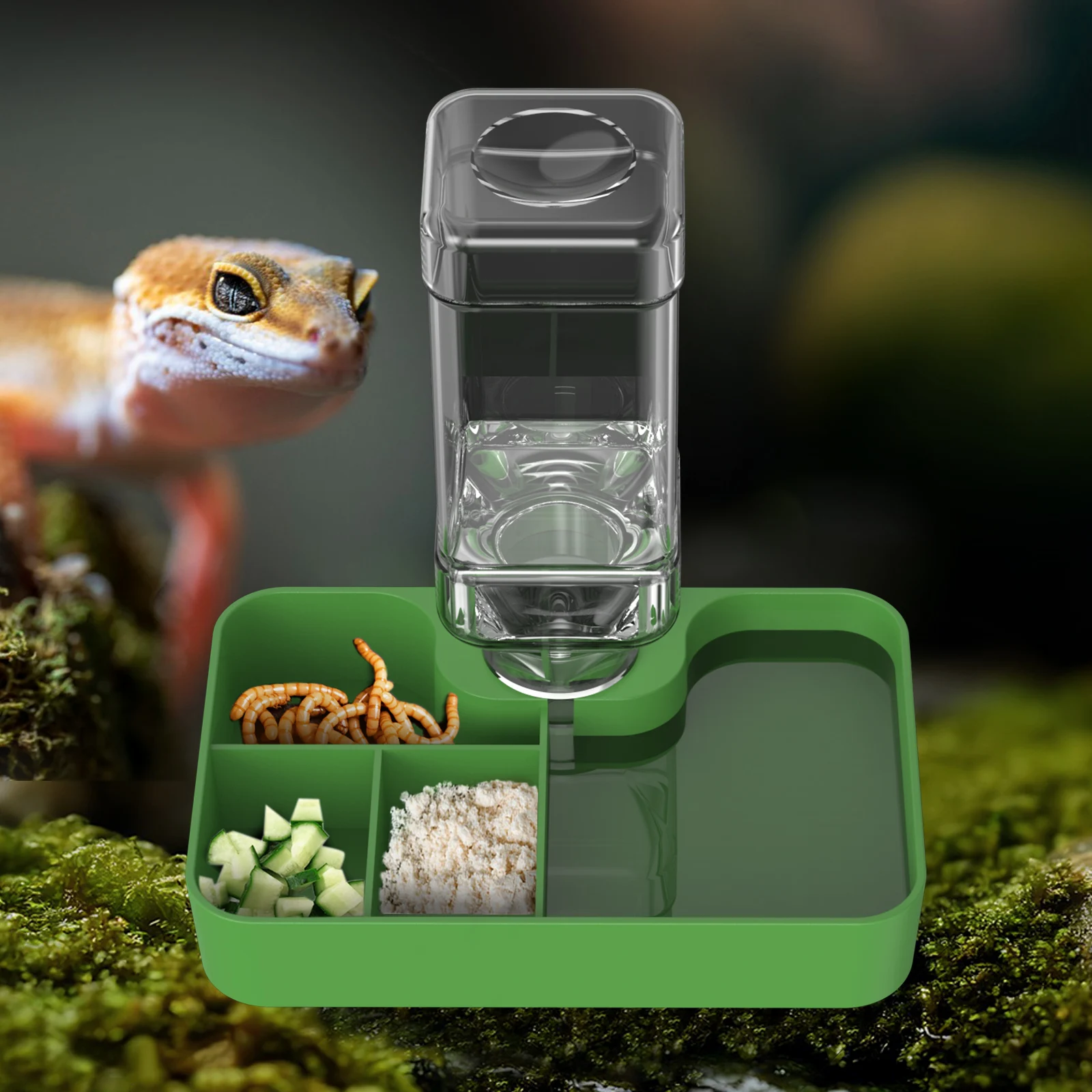 2-In-1 Reptile Feed…