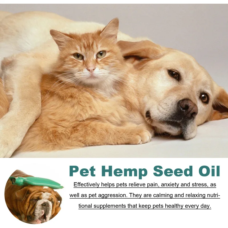 Natural Hemp Oil For Dogs And Cats Relax Pet Pain Inflammation Chews Joint Hip Pet Care Solution Cat Dog Probiotic Drops