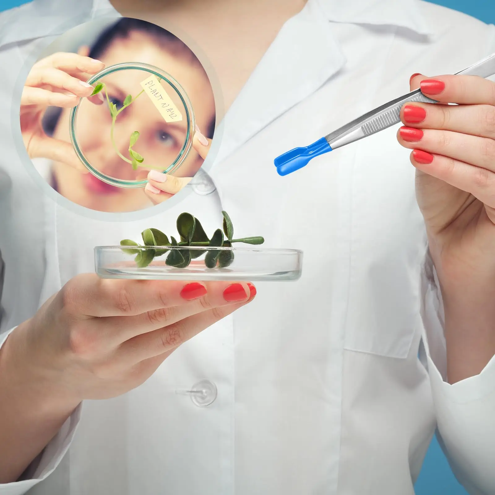 1 Uds. Pinzas con puntas de goma, juego de pinzas recubiertas de PVC, pinzas de punta recta de goma, pinzas de punta plana de goma, dobladas largas