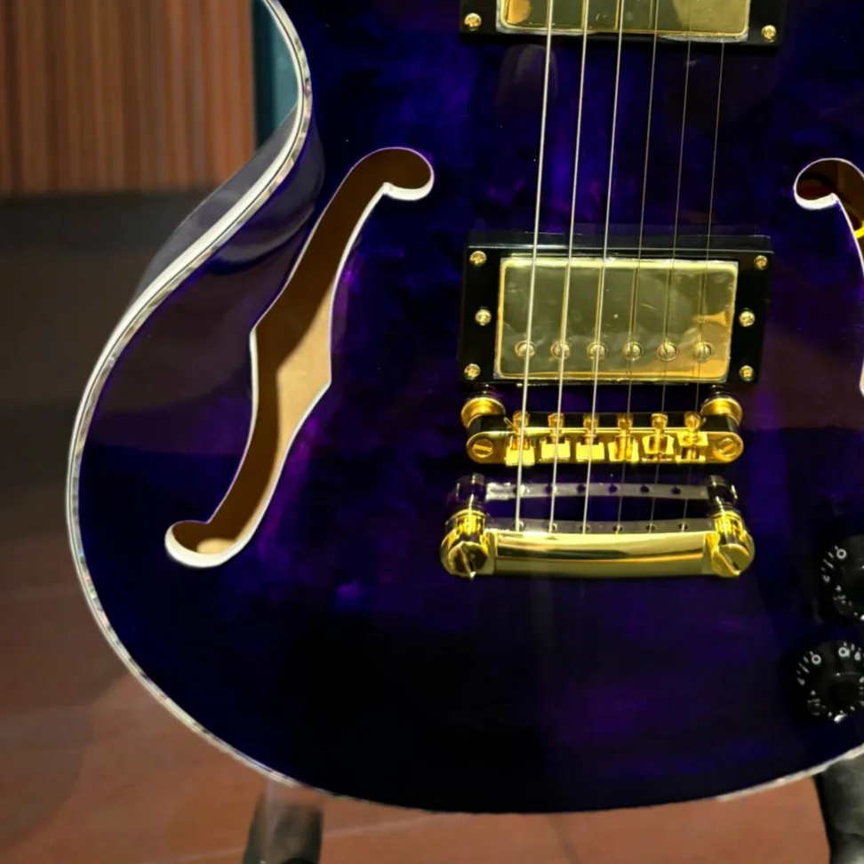 Dark Semi-Hollow Jazz Electric Guitar P90 Pickups Dual F-Holes Purple Burl Top Abalone Vine Floral Fingerboard Inlay