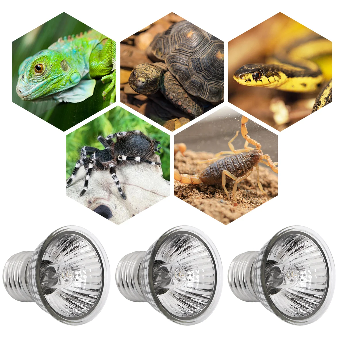 

3 Pcs Animal Heat Lamp Reptile Light Bulb UV Heating Bulbs Lizard Tank Basking for Turtles