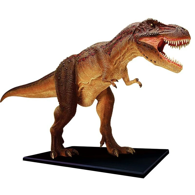 Educational toy animal dinosaur tyrannosaurus rex organ anatomy medical teaching model