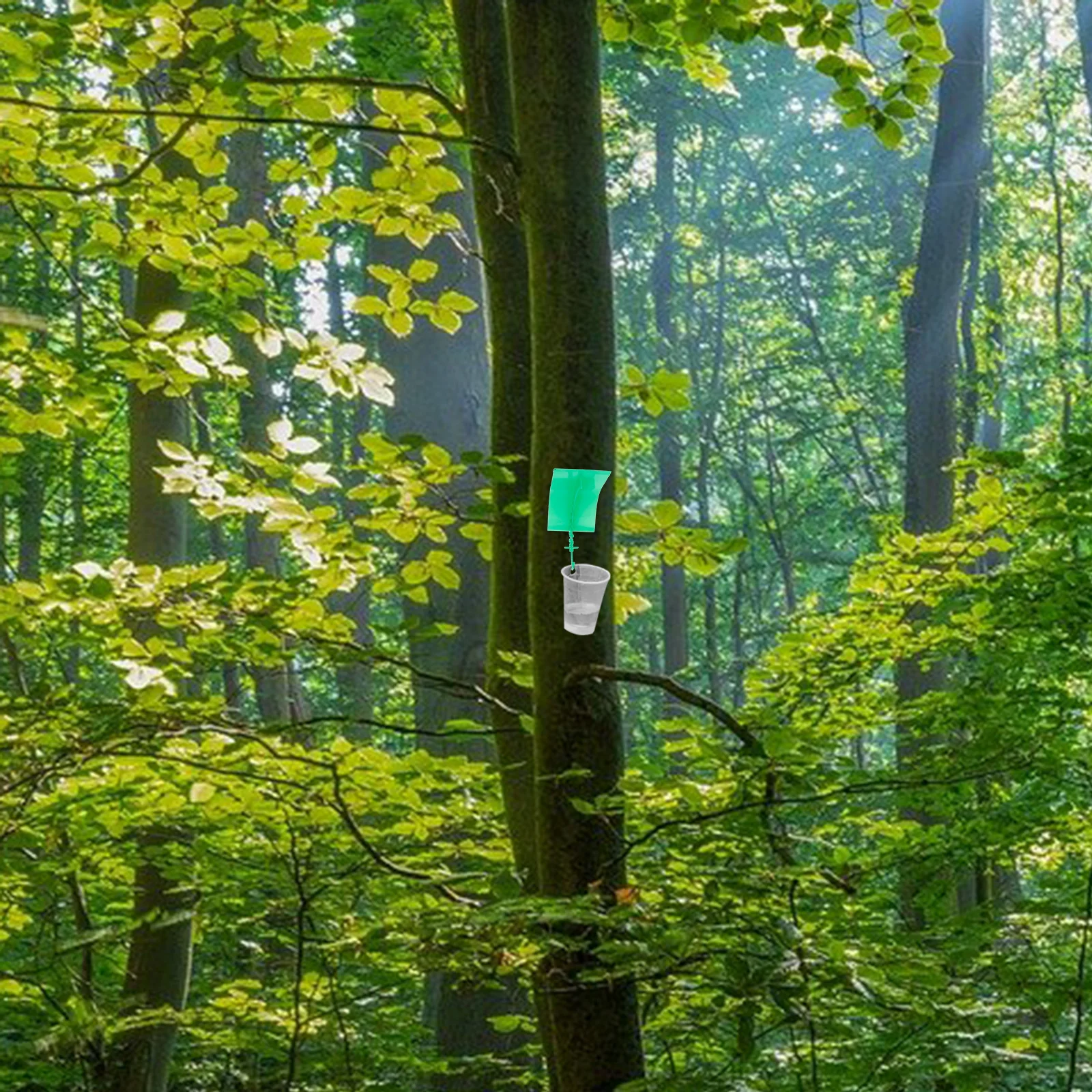 

6pcs Cicada Trap For Garden Multi-Use Tree Catcher Plastic Cicada Catcher Outdoor Indoor Harvesting Tool Efficient Automatic