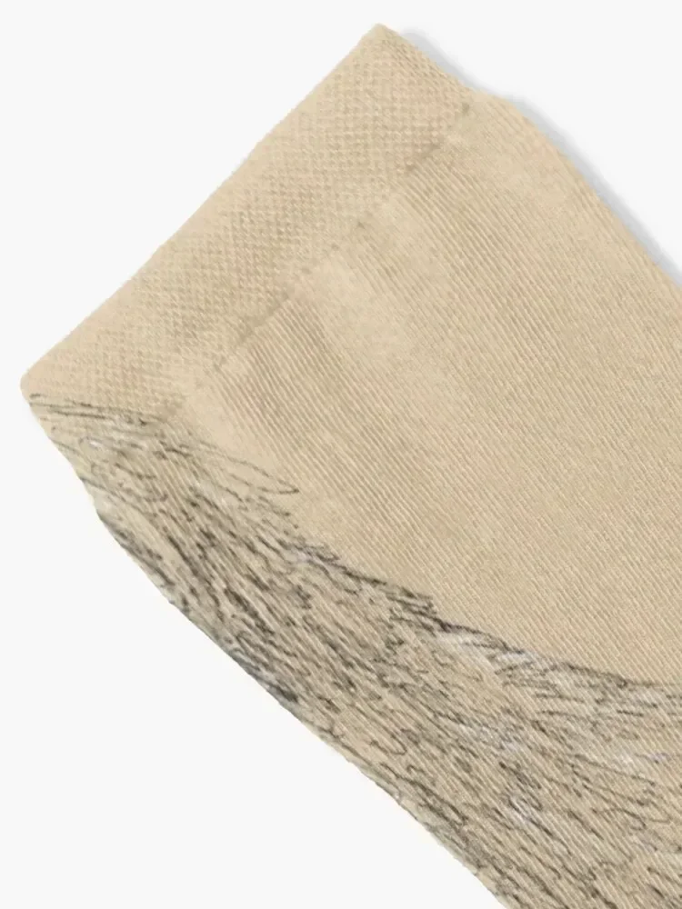 Puli Socks anime man christmass gift bright garter Ladies Socks Men's