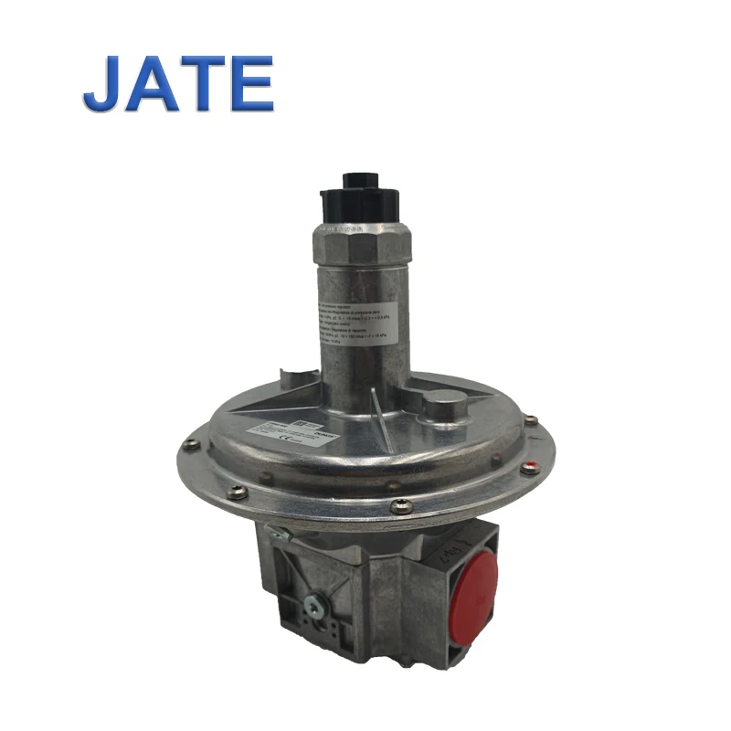 Detalle 1 de Electroválvula Germany DUNGS FRNG 5065 DN65 Burner Boiler Gas Solenoid Valve Gas y combustible