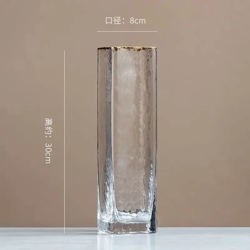 Light luxury glass vase tracing Phnom Penh bottle mouth design home dining table living room vase ornament transparent hydroponi