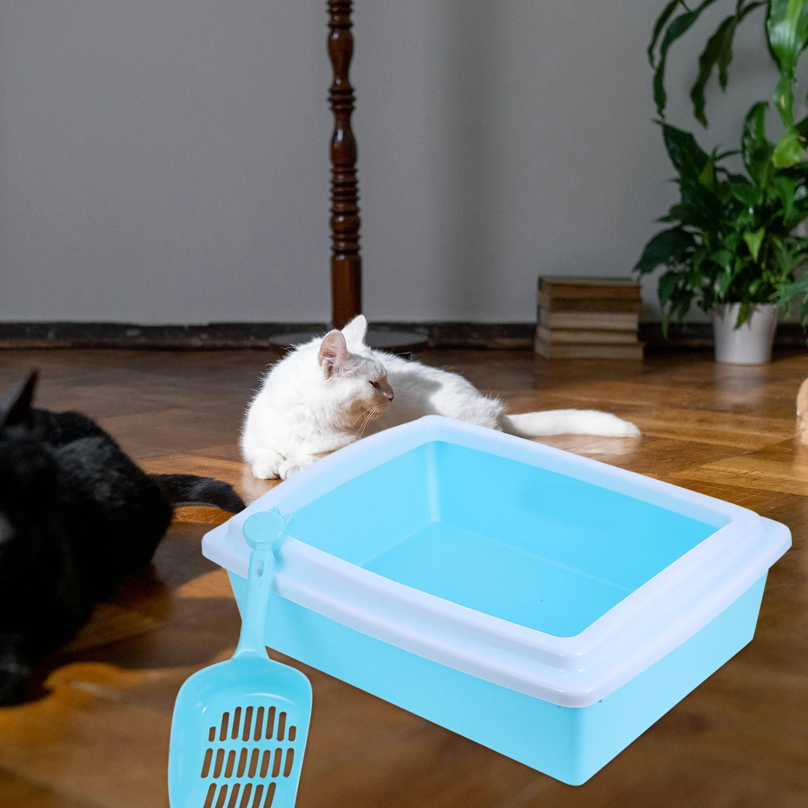 

Semi-Closed Cat Litter Box Plastic Open Tray Anti-Splash Splash Guard Easy Toilet for Kittens Small Cats Pet Litter