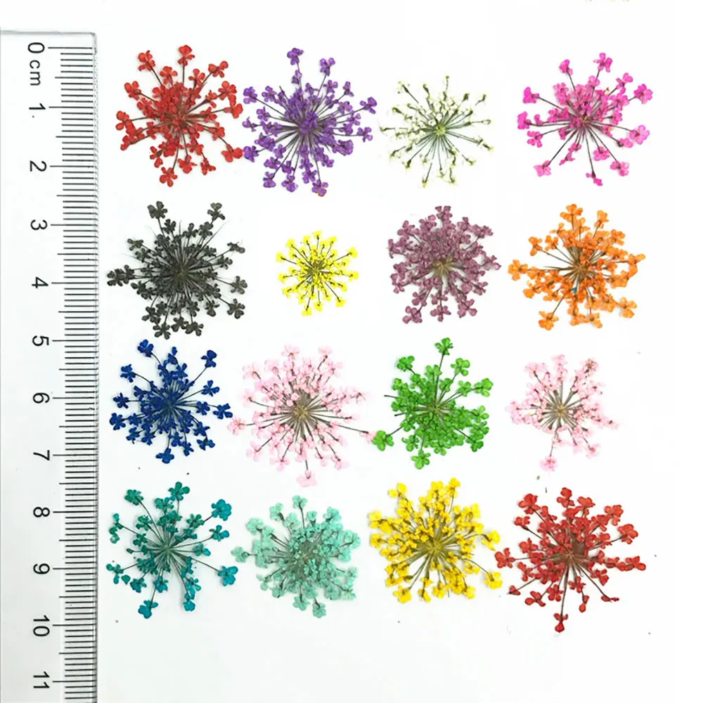 Silicone world 12PCS Dry Flowers For Resin Filling Real Dried Flower Dry Plant For Resin Filler DIY Pendant Jewelry Making Craft