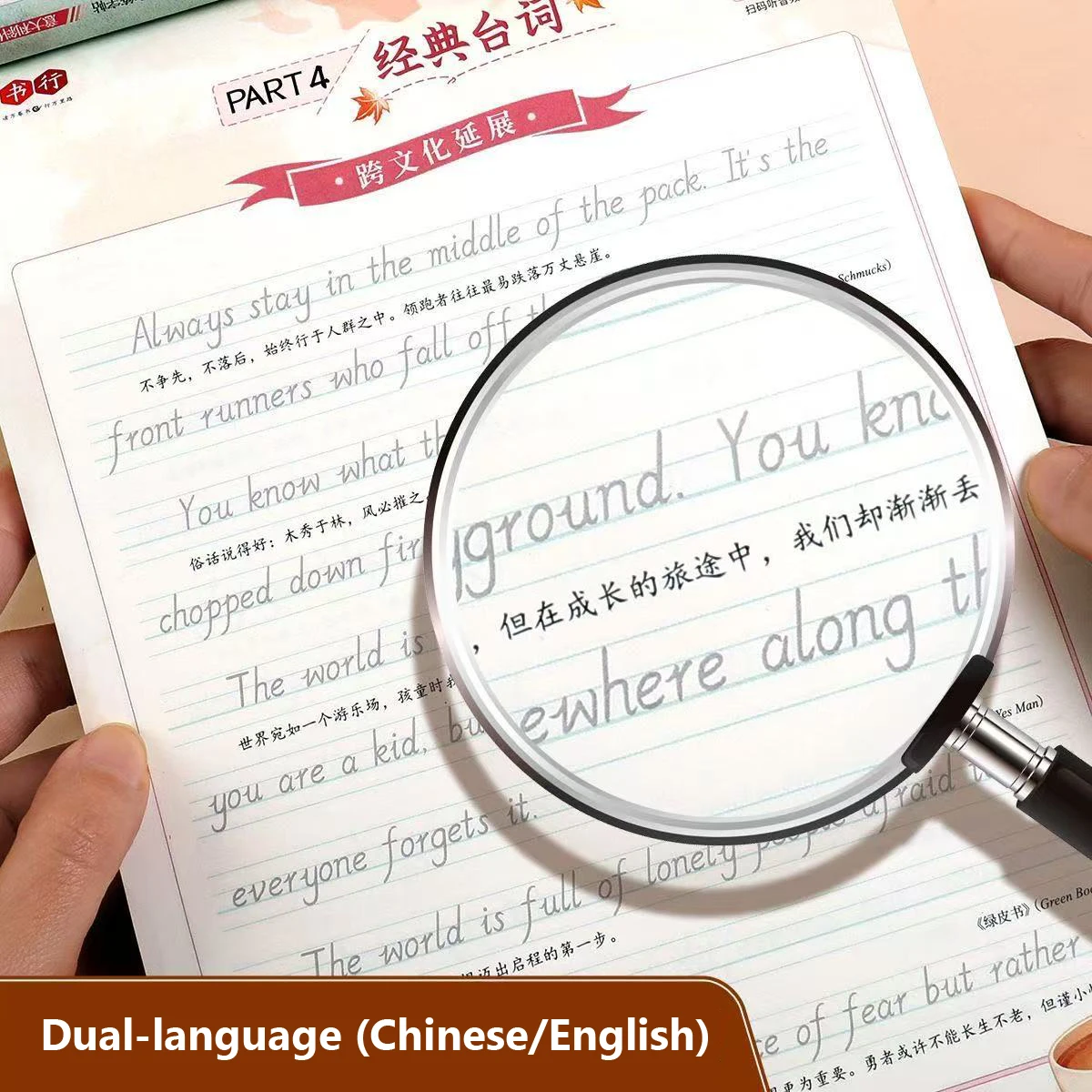 Italic English Calligraphy Practice Book - Reusable Handwriting Copybook with Full Alphabet & Words for Copywork