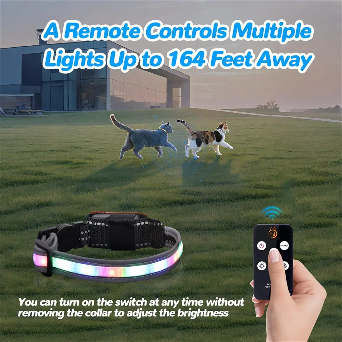 Cat Collar,Lighted Cat Collars for Night,Rechargeable Waterproof LED Cat Collar with Remote,Dog Lights for Night Walking