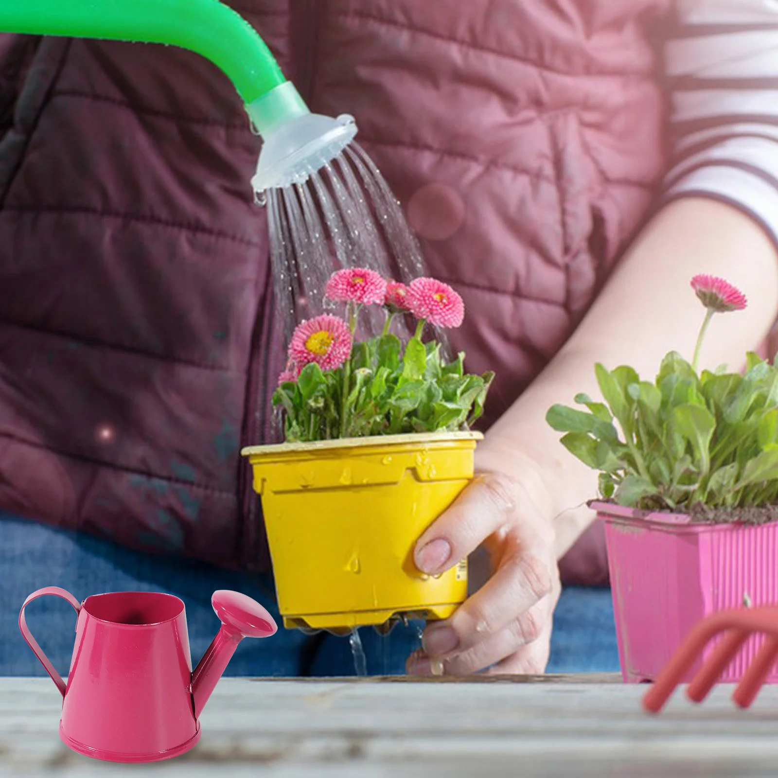 5 stks Mini Gieter Ijzer Kleine Gieter Voor Planten Kids Tuin Gereedschap Metalen Plant Ketel Indoor Outdoor Decoratieve