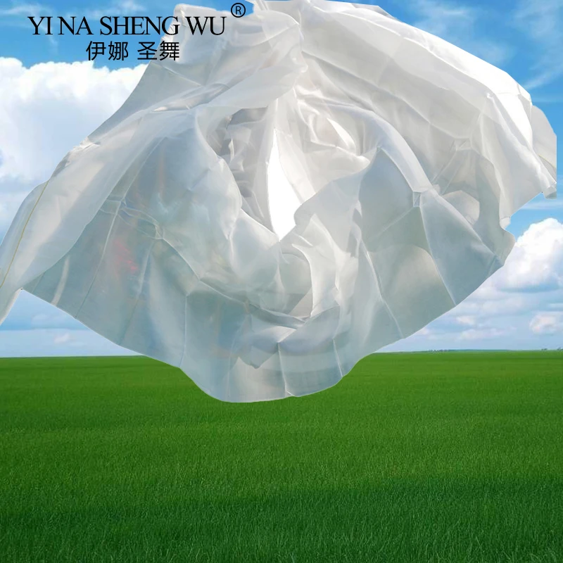 Professional Belly … - image