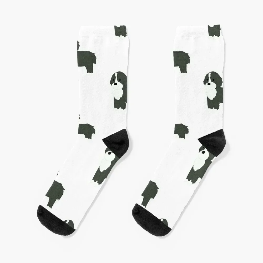 Bernedoodle Socks floral cool Men's Lots Women's Socks Men's