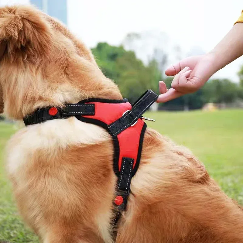 Zadel Hondentuig Reflecterend Verstelbaar Harnas Zonder Treklooptraining Klein Medium Grote Honden Borstband Product