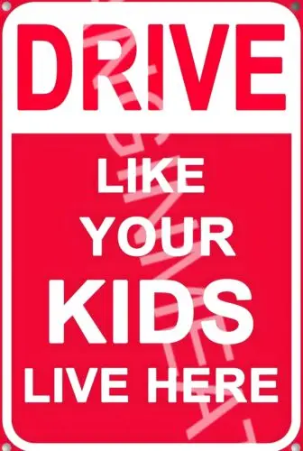 Drive Like Your Kids Live Here Funny 8