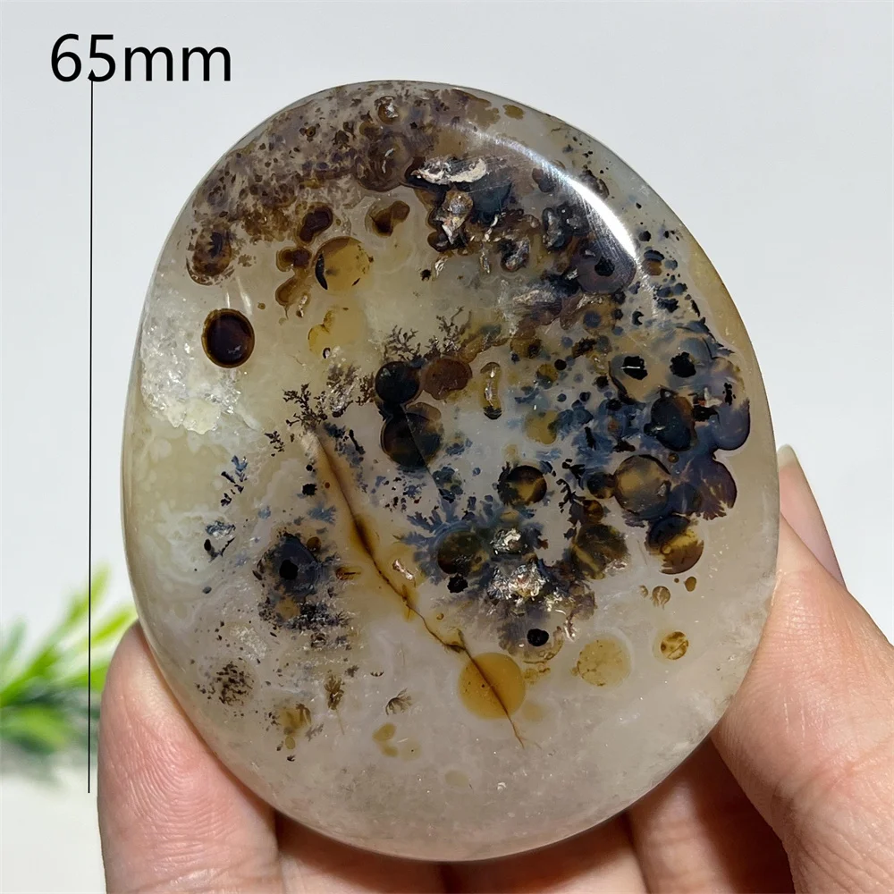 Crystal Natural Agate Branch Palm Stone Quartz Gemstone Healing Reiki Rainbow Witchcraft Home