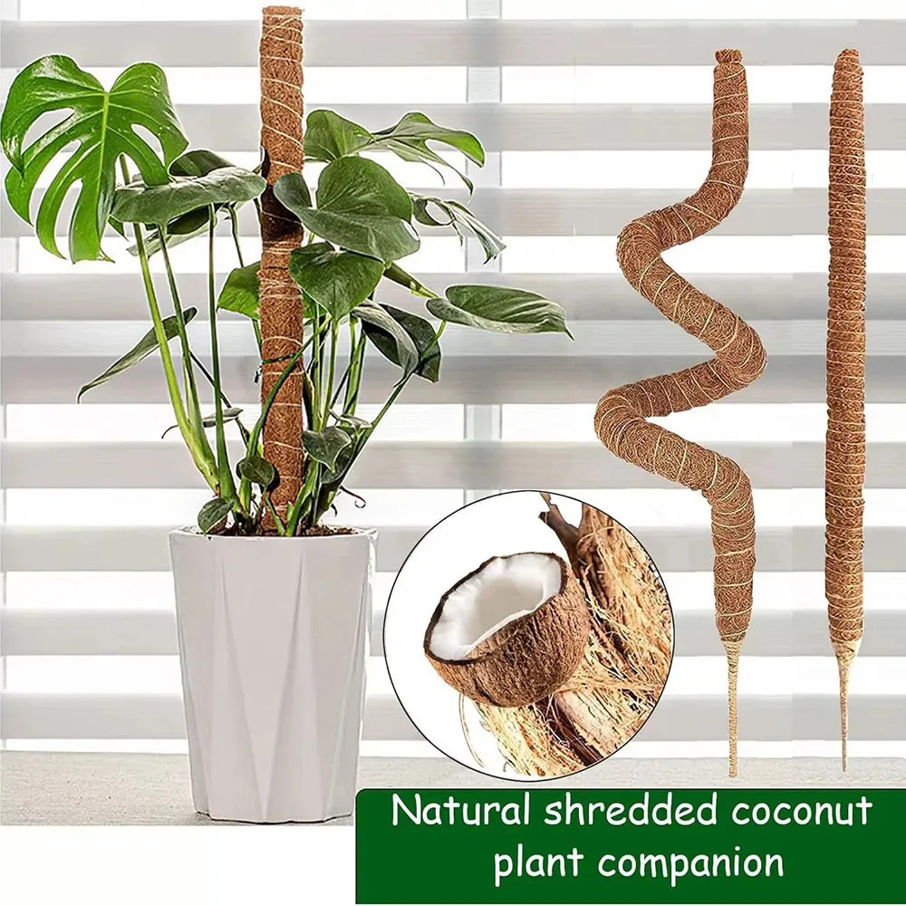 Varilla de Soporte para Plantas Trepadoras, Varilla de Coco para Plantas en Maceta, Varilla de Musgo para Plantas Trepadoras