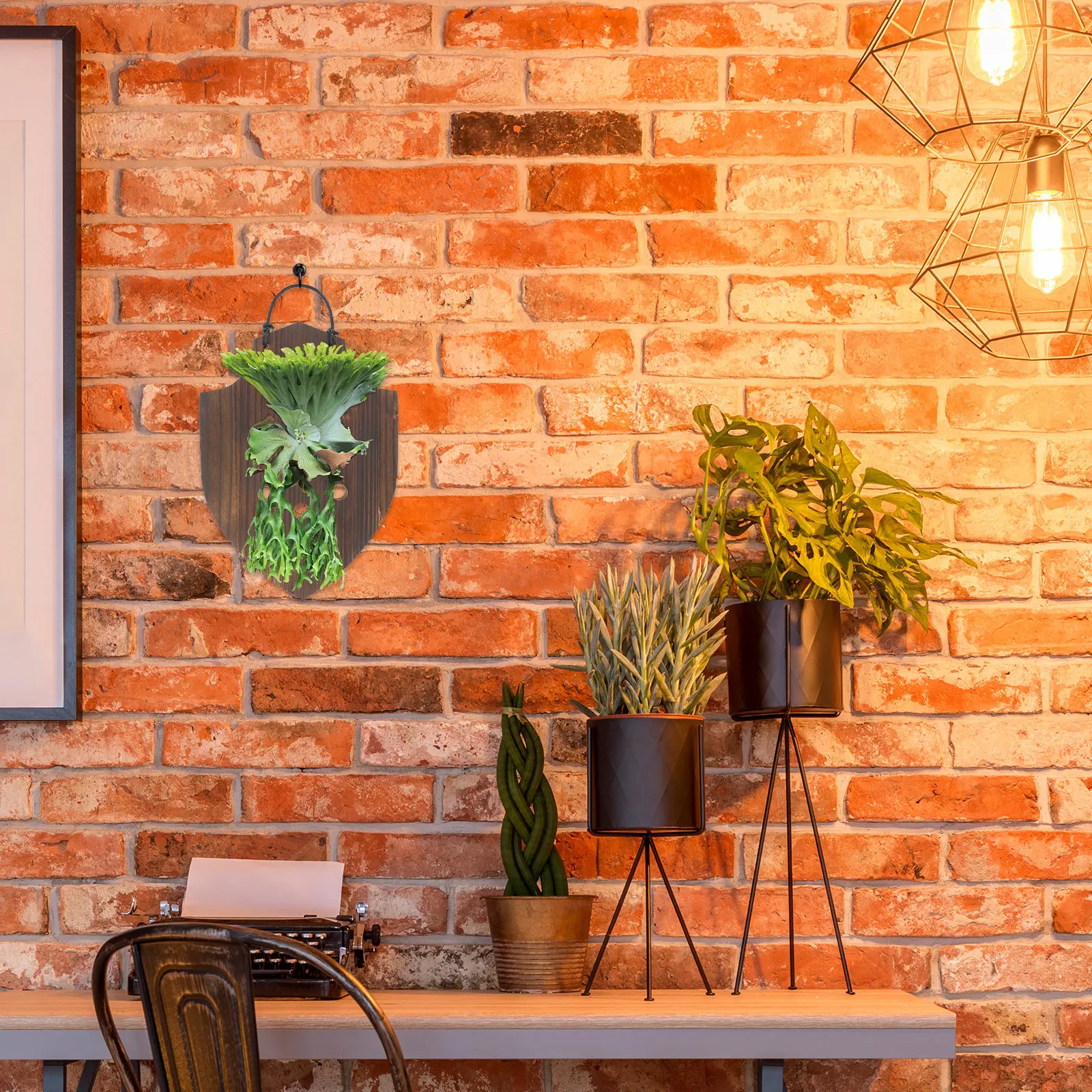 Wooden Staghorn Fern Mounting Board Solid Wood Indoor Hanging Vertical Plant Holder Wall Planter for Orchids Succulents