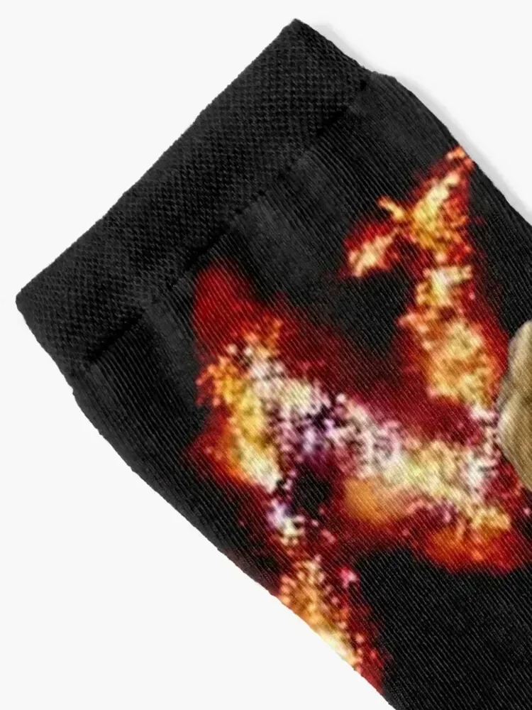 Fred and George Weasley Socks sheer hiking funny sock Mens Socks Women's