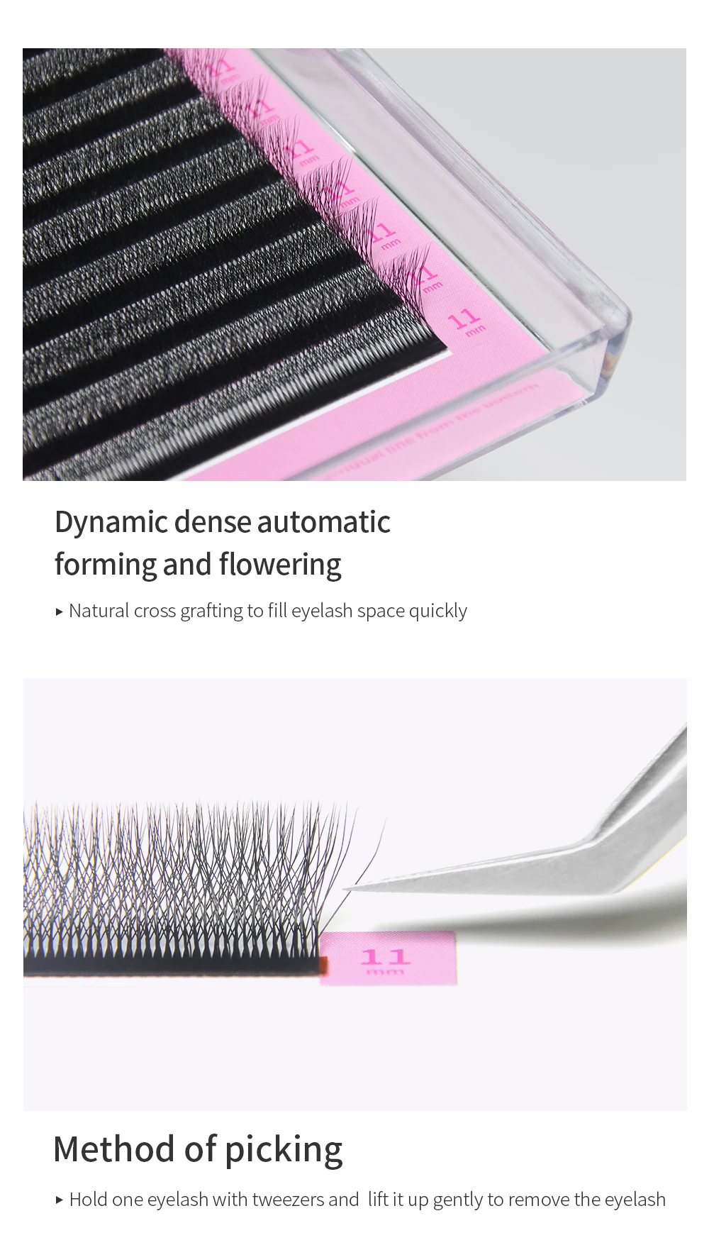 GLAMLASH 6D-W Shaped Eyelash Extension Premade Volume Fans Clover W Style Lashes False Mink Soft Easy Faning Natural Makeup Tool