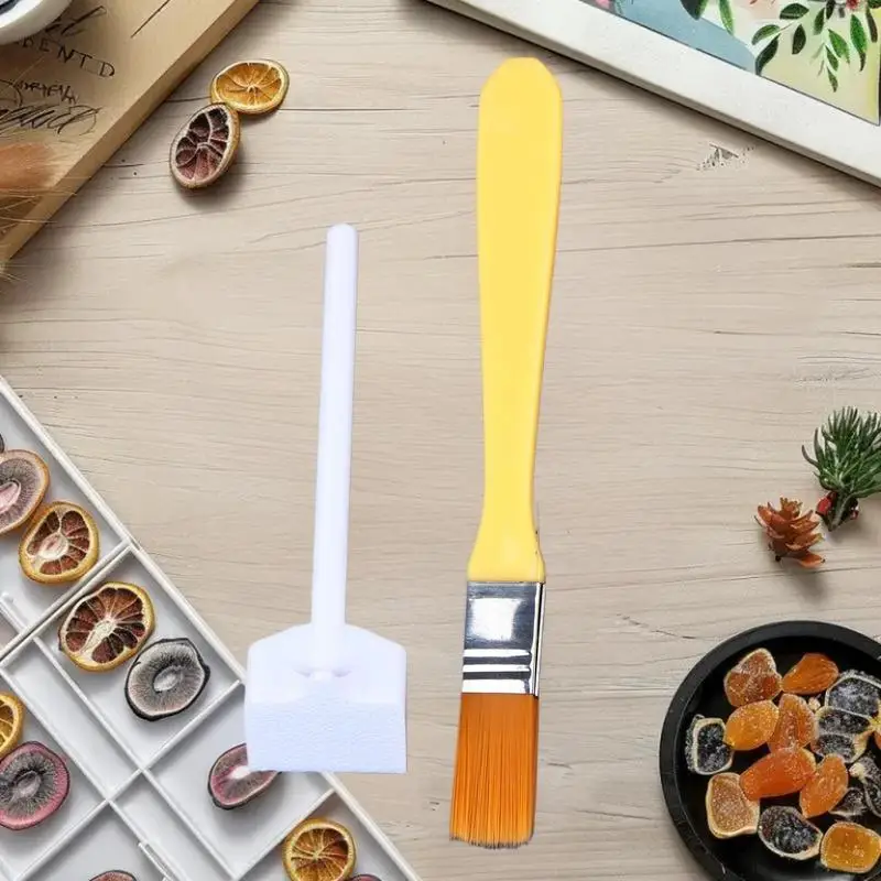 1 Set Ant Farm Clea…