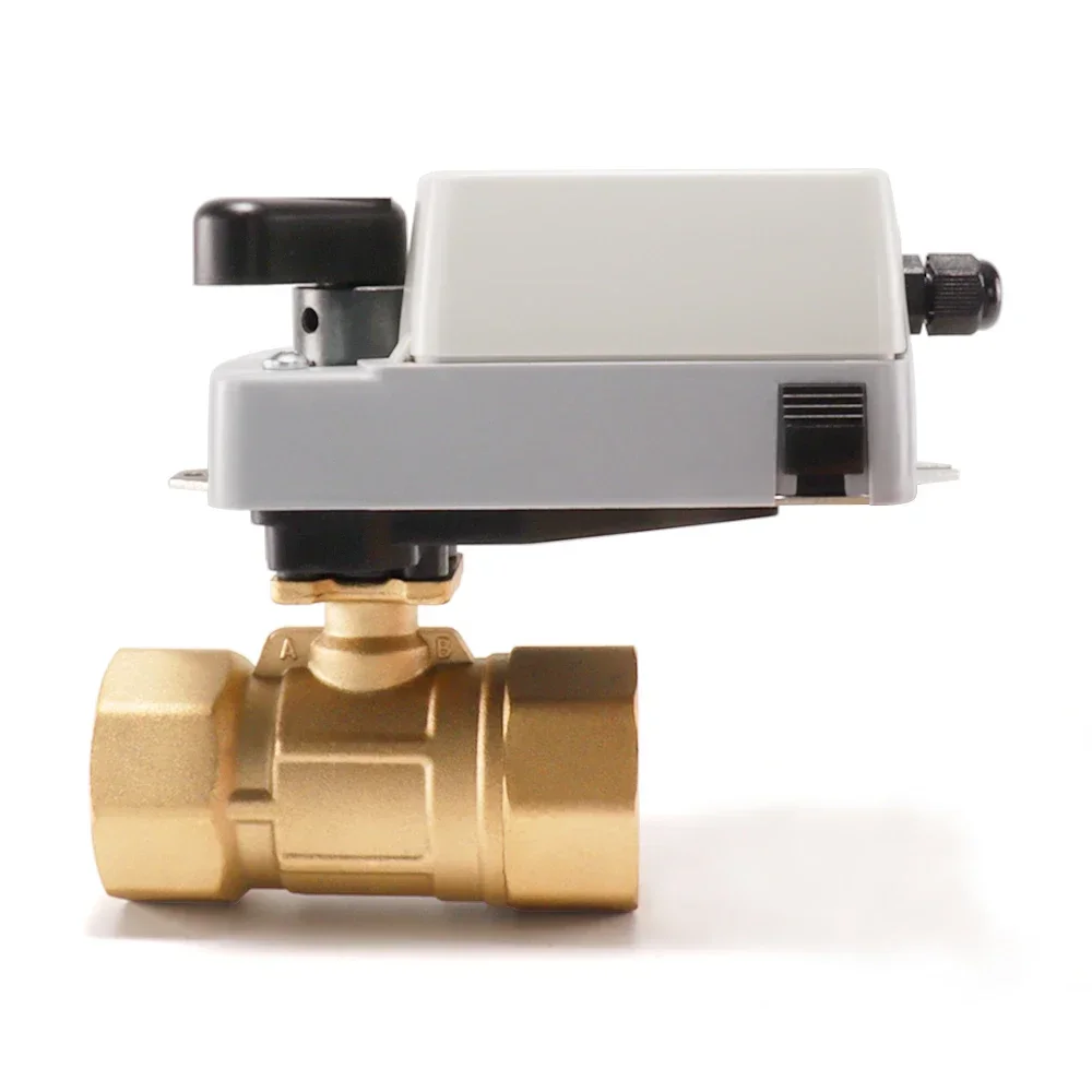 Exquisite LFZ-DQ Wa…