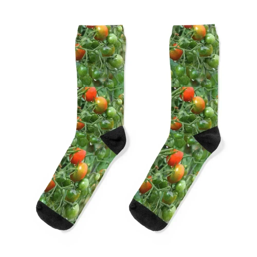 Wet Cherry Tomatoes Socks essential with print Woman Socks Men's