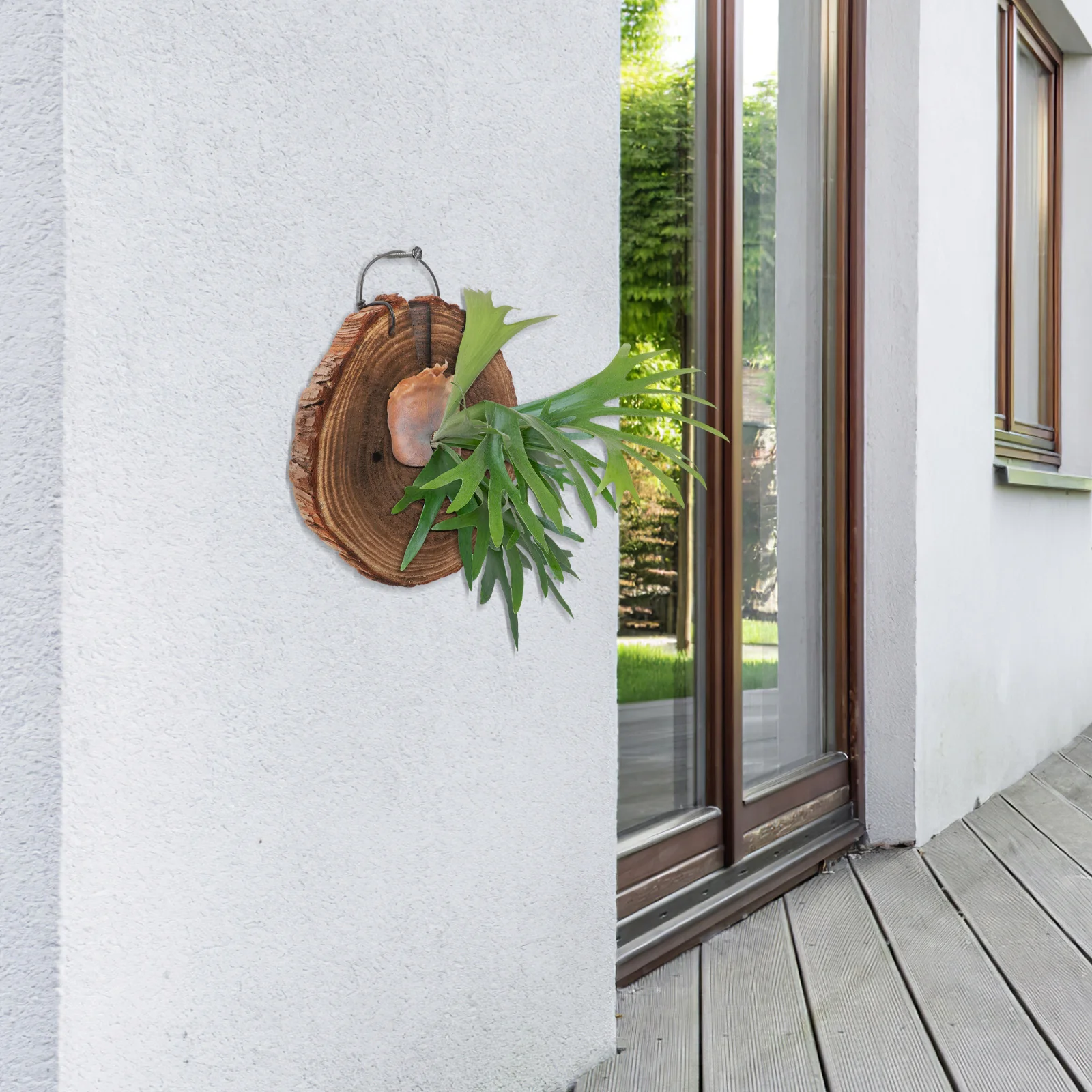

Staghorn Fern Board Solid Wood Planter Brown Color Wood Wall Decors Garden Wall Decor Durable Reusable