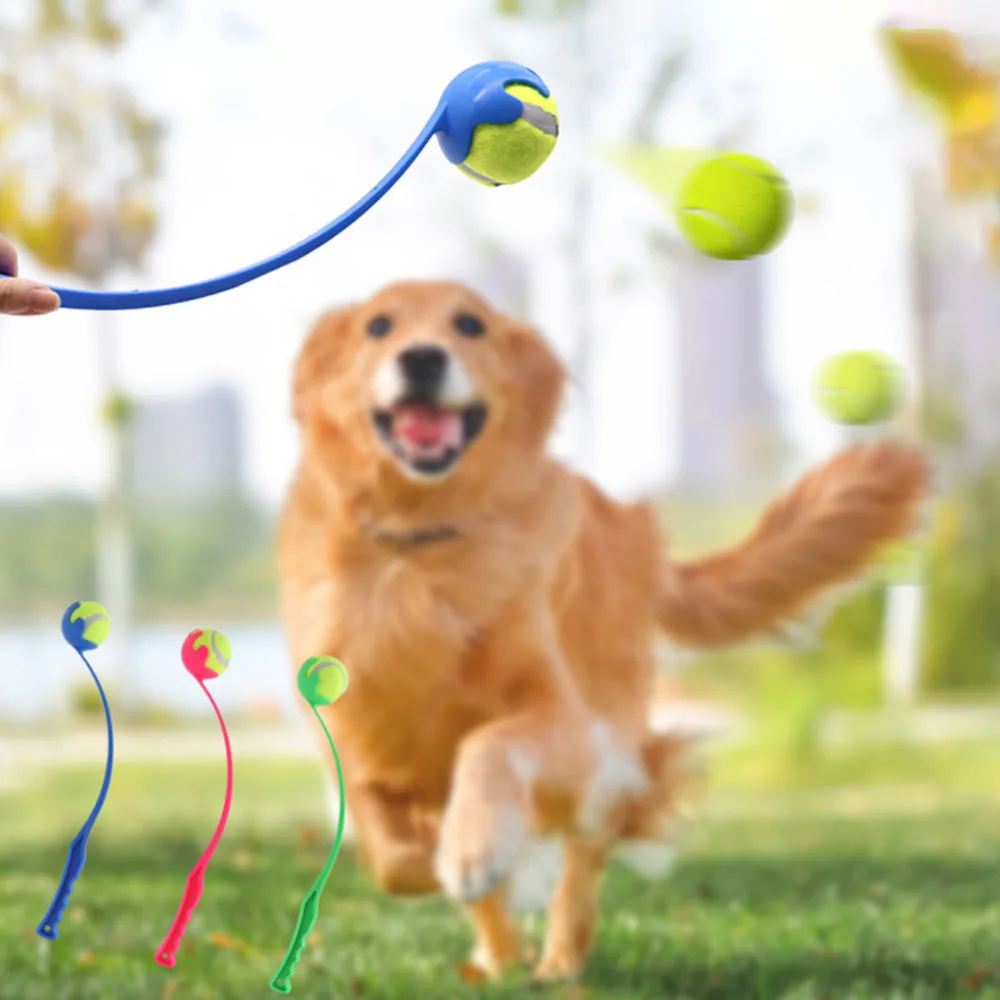 Thumbnail 2 - #51 Interactive Pet Toys List of Top Picks