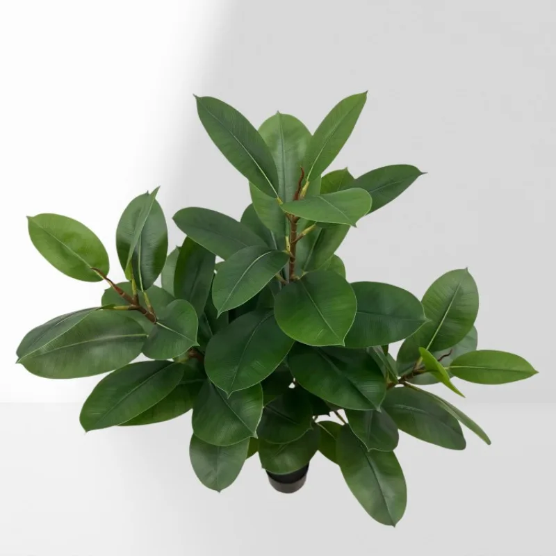 Simulation straight rubber tree fiddle leaf fig bonsai home living room simulation green plant floor ornaments garden decoration - Image 6