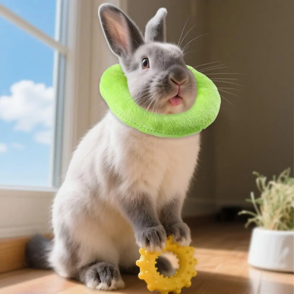 Parrot Neck Collar Protective Donut Collar for Birds Anti-biting Pecking Injury Recovery Collar for Parrots Cockatoos Hamsters
