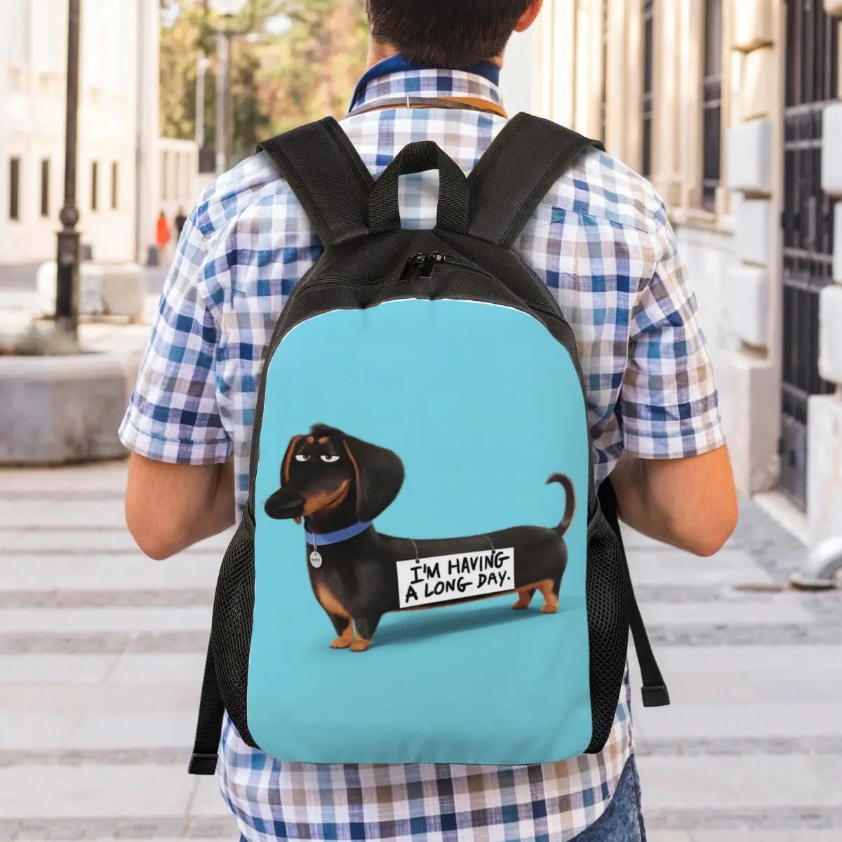 Mochila para ordenador portátil Dachshund Dog para hombre y mujer, bolsa básica para estudiantes universitarios, bolsas de tejón con salchicha