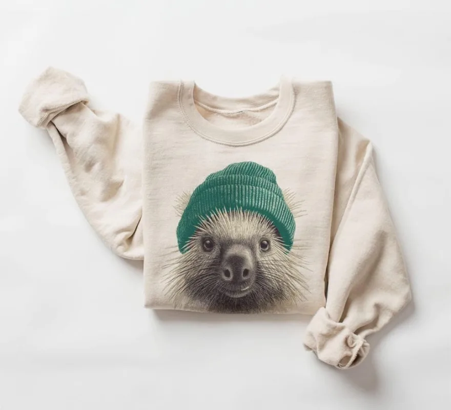 

Cute Porcupine Wearing Beanie Sweatshirt Woodland Retro Crewneck Retro 90s Unisex Wildlife Outdoors Pullover Funny Hoodie
