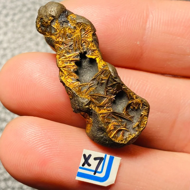 

Natural mini golden flower iron meteorite mineral specimen energy stone healing