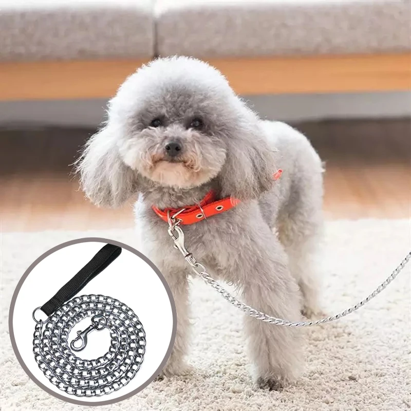 Metal Chain Dog Training Leash 2