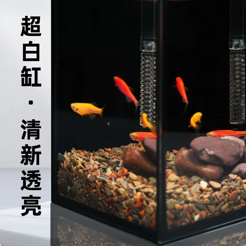 Thumbnail 4 - #36 Latest Desktop Fish Bowls Offers