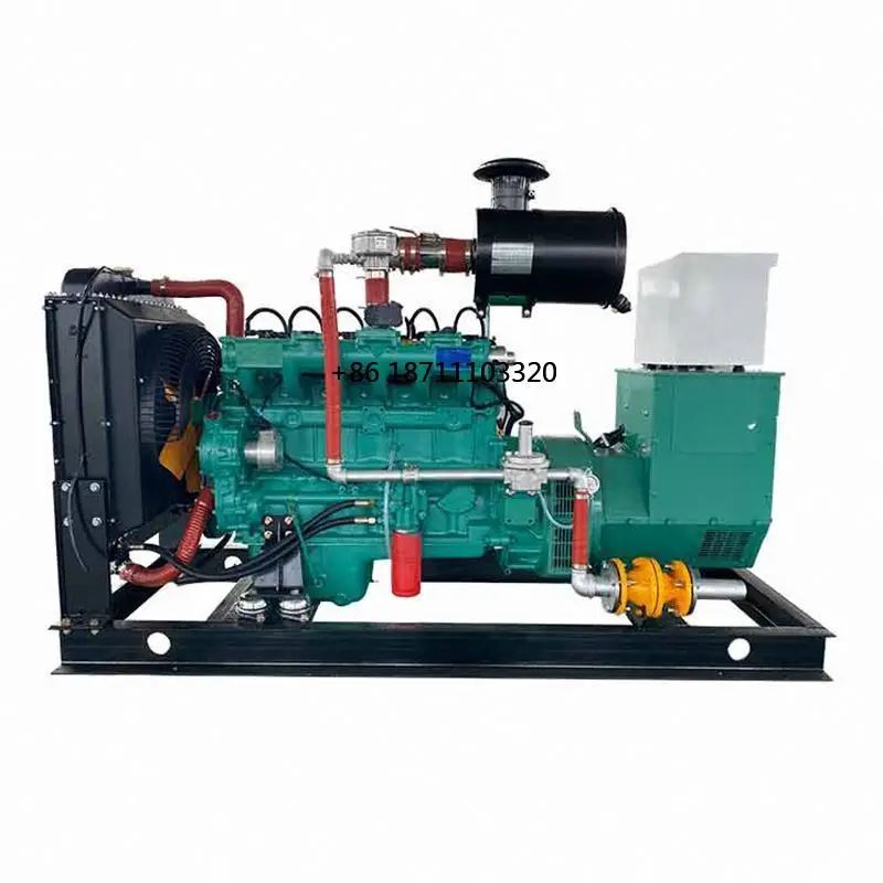 Single-Phase GasS Fired Power Plants LPG Natural GasS Bio Compatible Electric Start Water Cooling Excitation Type Brushless