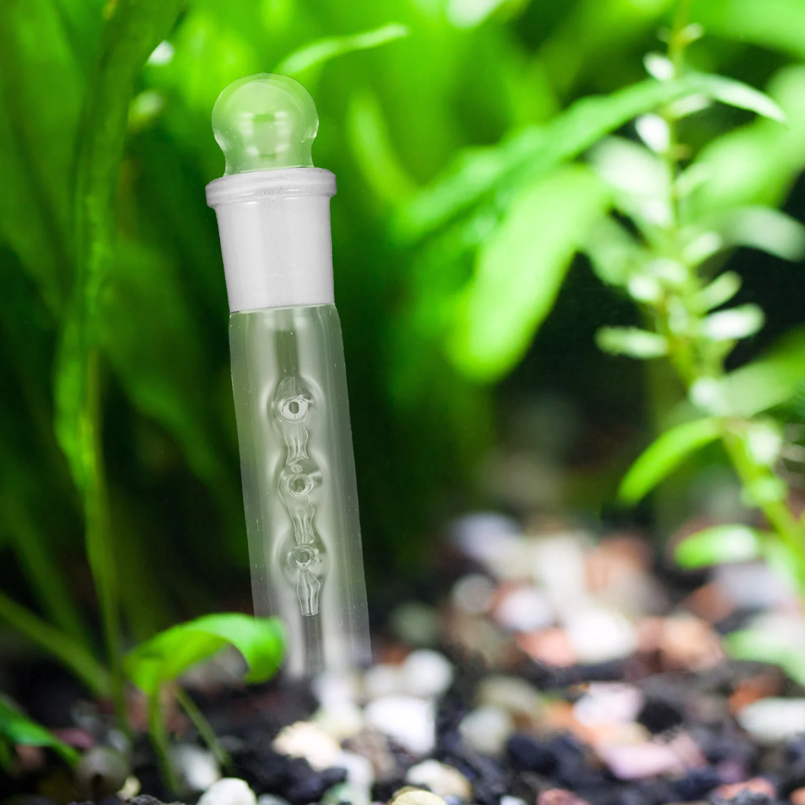 

Aquarium Planaria Catcher Trap for Fish Tank Glass Flatworm Worm Remover Tool Safe Non-Toxic Cleaning Supply Accessory