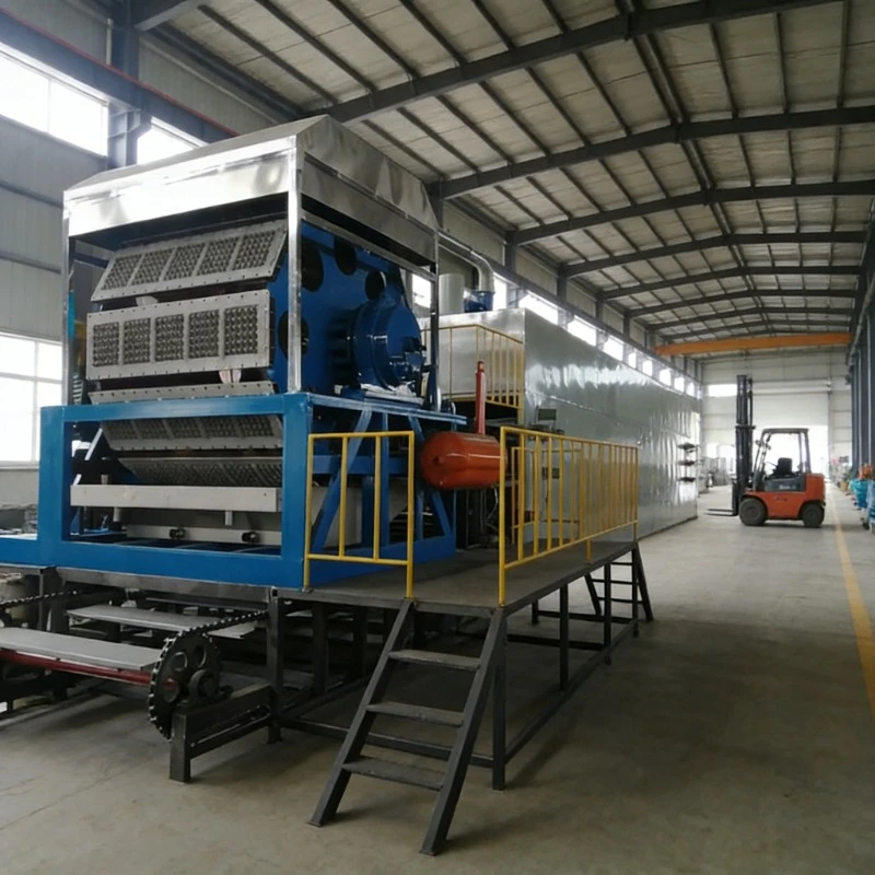 High Output Rotary Egg Tray Machine 4 Sides Pulp Suction Molding Equipment for Egg Carton Coffee Tray Production Customized