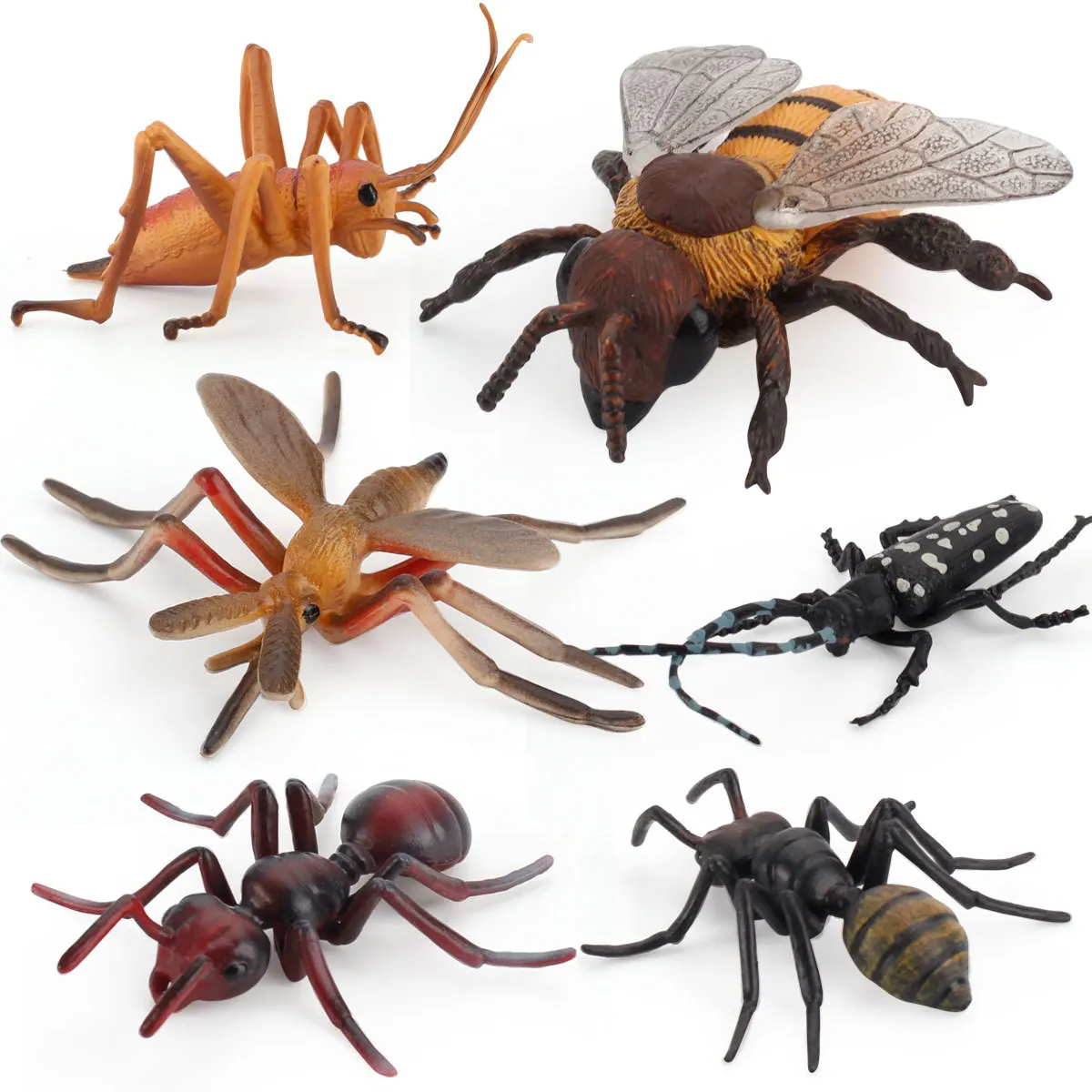 Simulation Miniature Insects Figurines Animal Set Teaching Aids Model Spider Butterfly Biology Education Toys Landscape Ornament