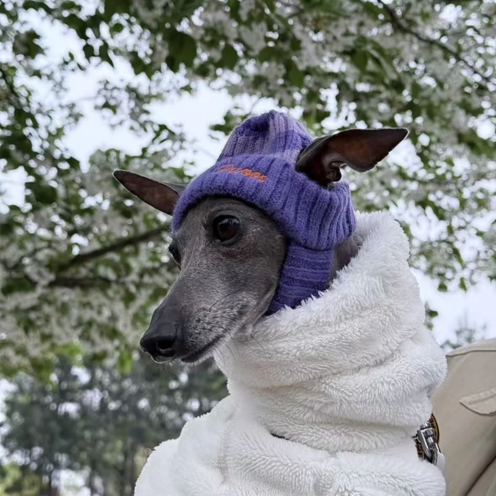 

Fashion Purple Hand-knitted Sweater Hat for Italian Greyhound Winter Warm Hat for Whippet Soft Woolen Hat for Terrier