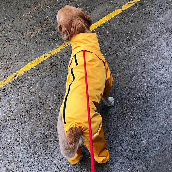 

Водонепроницаемый золотой плащ для больших собак, полное покрытие, куртка на 4 ноги для пород, золотистый ретривер, Аляска, одежда для домашних животных, одежда для собак